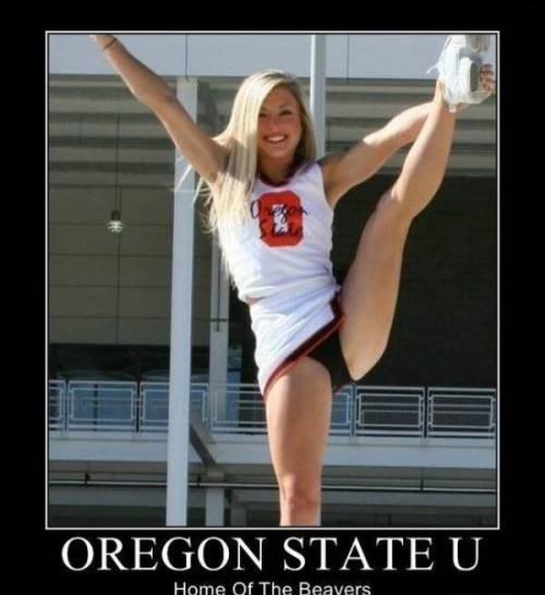 OREGON STATE U Home Of The Reavers