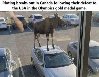 Rioting breaks out in Canada following their defeat to the USA in the Olympics gold medal game. (image shows a camel on a car)
