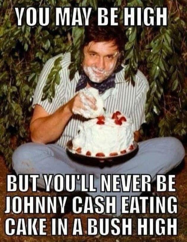 YOU MAY BE HIGH BUT YOU'LL NEVER BE JOHNNY CASH EATING CAKE IN A BUSH HIGH
