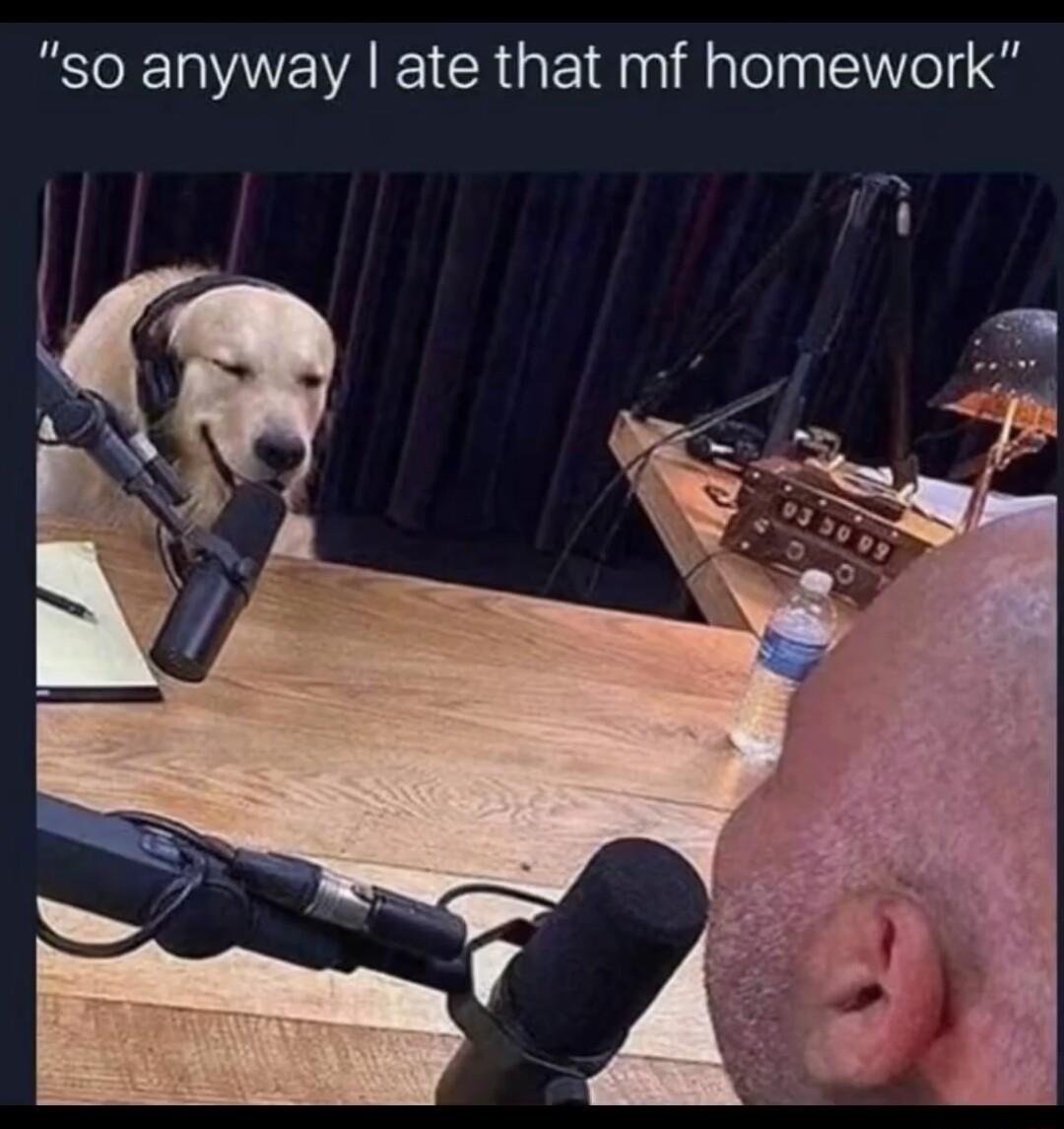 so anyway ate that mf homework