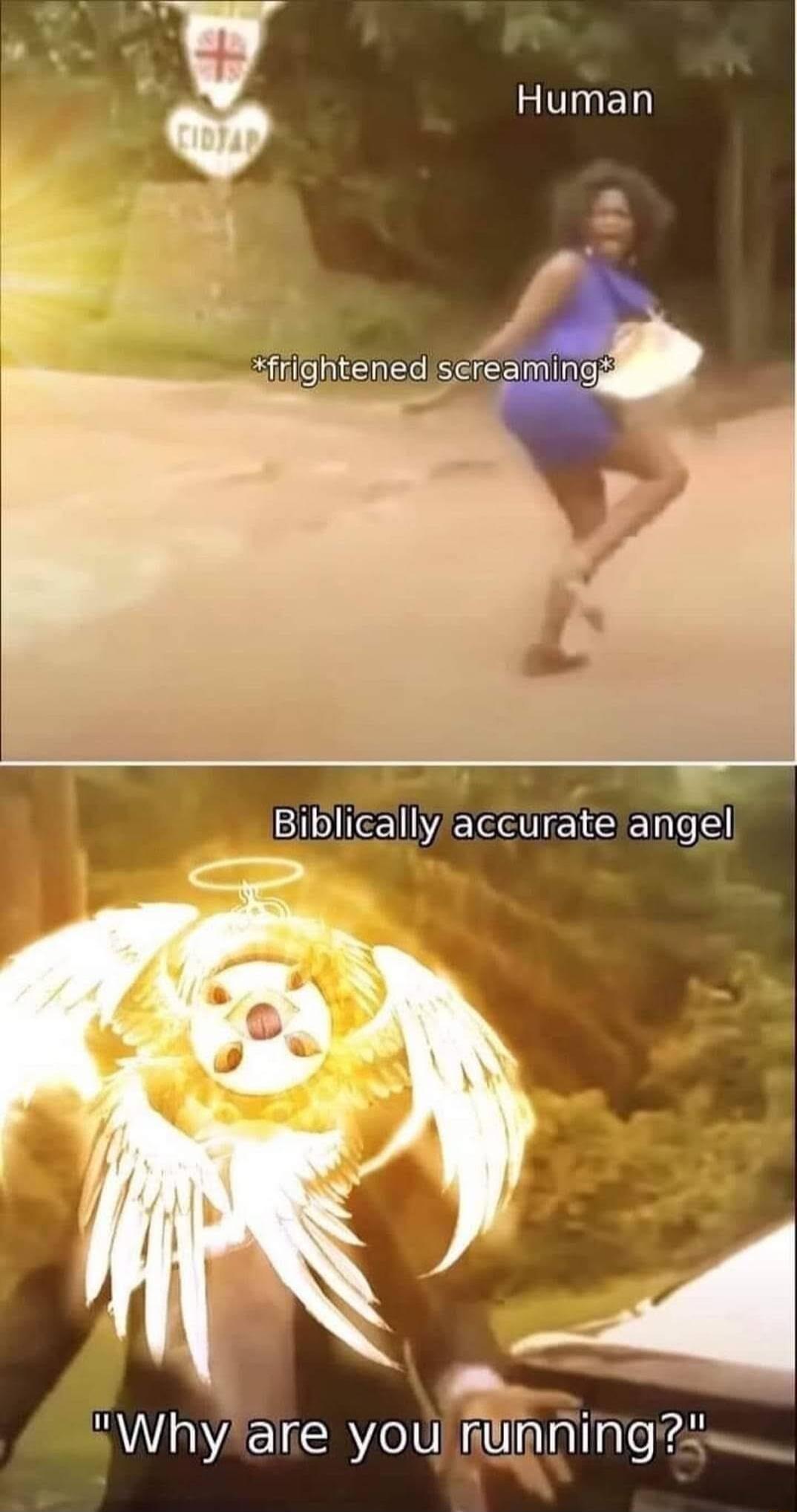 tfrightened screamingd Biblically accurate angel sWhyalie you RUnNingise
