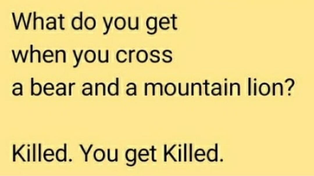 What do you get when you cross a bear and a mountain lion Killed You get Killed