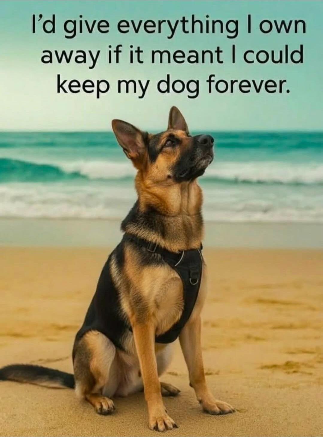 I’d give everything I own away if it meant I could keep my dog forever.
