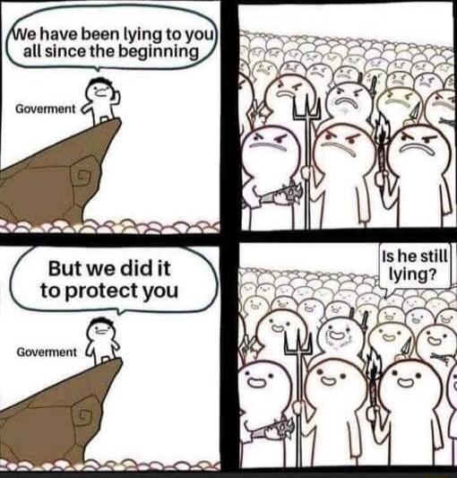 e have been lying to you all since the beginning 22 Butwedid it to protect you