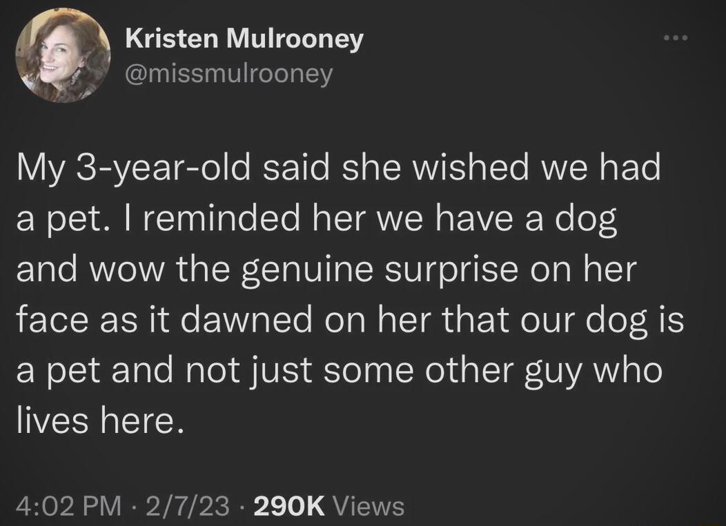 Kristen Mulrooney missmulrooney My 3 year old said she wished we had a pet reminded her we have a dog and wow the genuine surprise on her face as it dawned on her that our dog is a pet and not just some other guy who lives here 402PM 2 L Lo QUEITES
