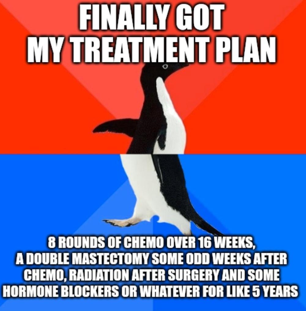 FINALLY GOT MY TREATMENT PLAN 5 8 ROUNDS OF CHEMO OVER 16 WEEKS ADOUBLE MASTECTOMY SOME ODD WEEKS AFTER CHEMO RADIATION AFTER SURGERY AND SOME HORMONE BLOCKERS OR WHATEVER FOR LIKE 5 YEARS