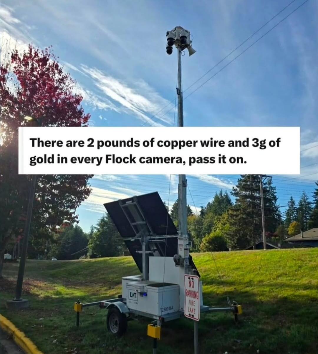 There are 2 pounds of copper wire and 3g of gold in every Flock camera, pass it on.