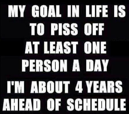 My goal in life is to piss off at least one person a day. I'm about 4 years ahead of schedule.