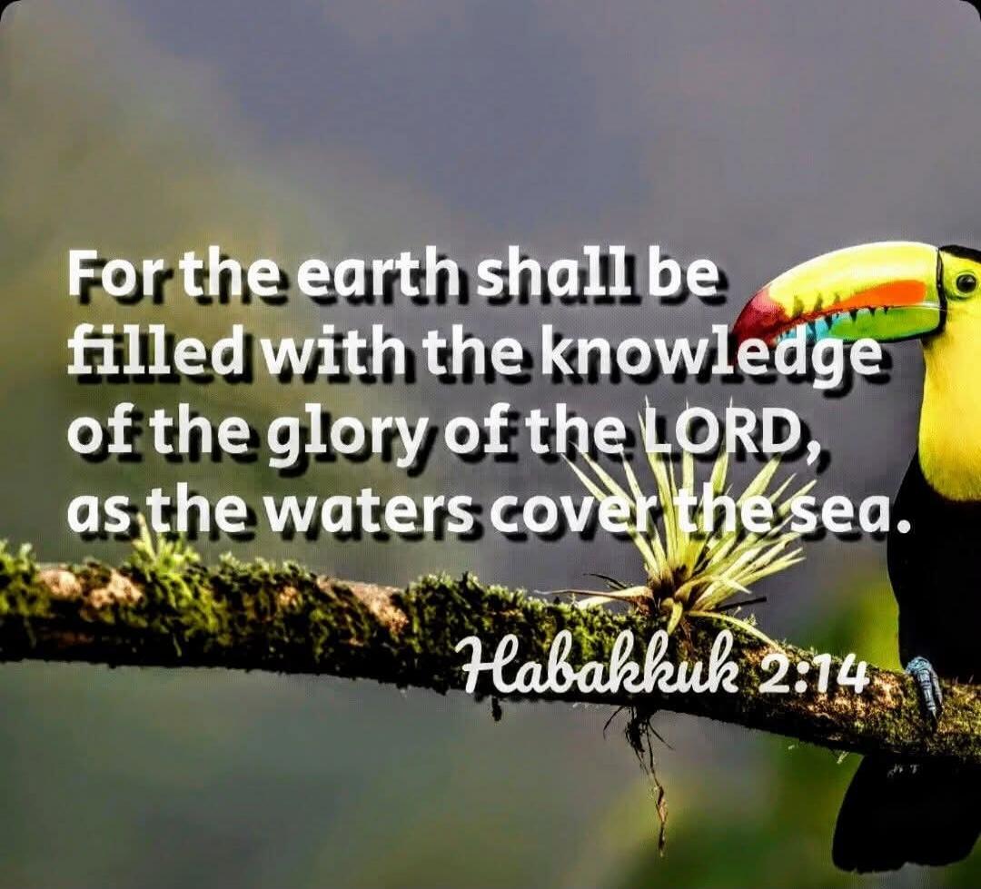 For the earth shall be filled with the knowledge of the glory of the LORD, as the waters cover the sea. Habakkuk 2:14