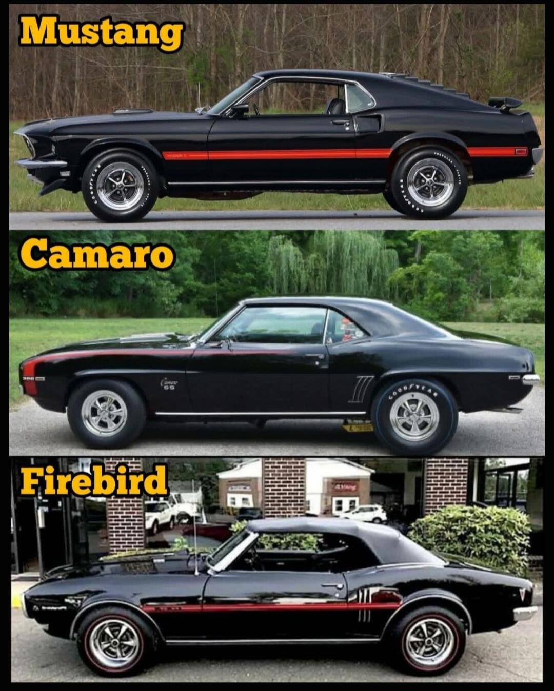 Mustang Camaro Firebird