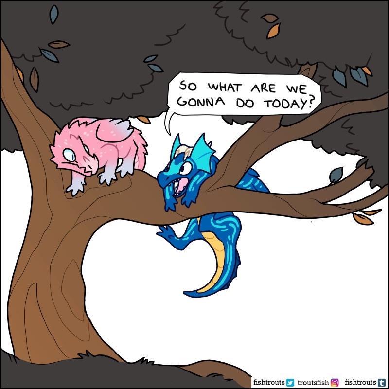 50 WHAT ARE wE GONNA DO TODAY