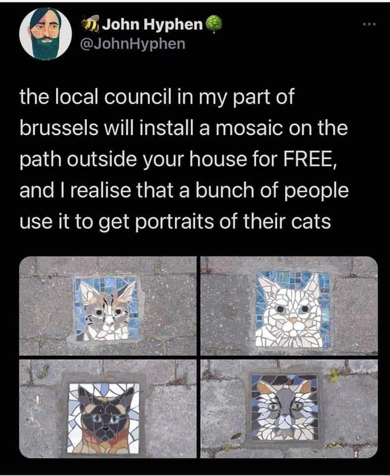John Hyphen JohnHyphen the local council in my part of brussels will install a mosaic on the path outside your house for FREE and realise that a bunch of people use it to get portraits of their cats