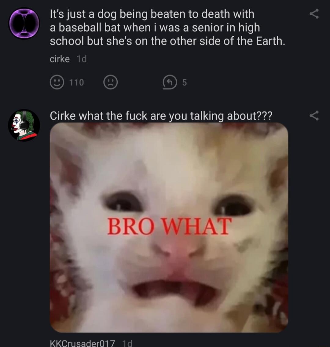 09 Its just a dog being beaten to death with a baseball bat when i was a senior in high school but shes on the other side of the Earth cirke mnw O of Girke what the fuck are you aIkInJ about KKCrusader017