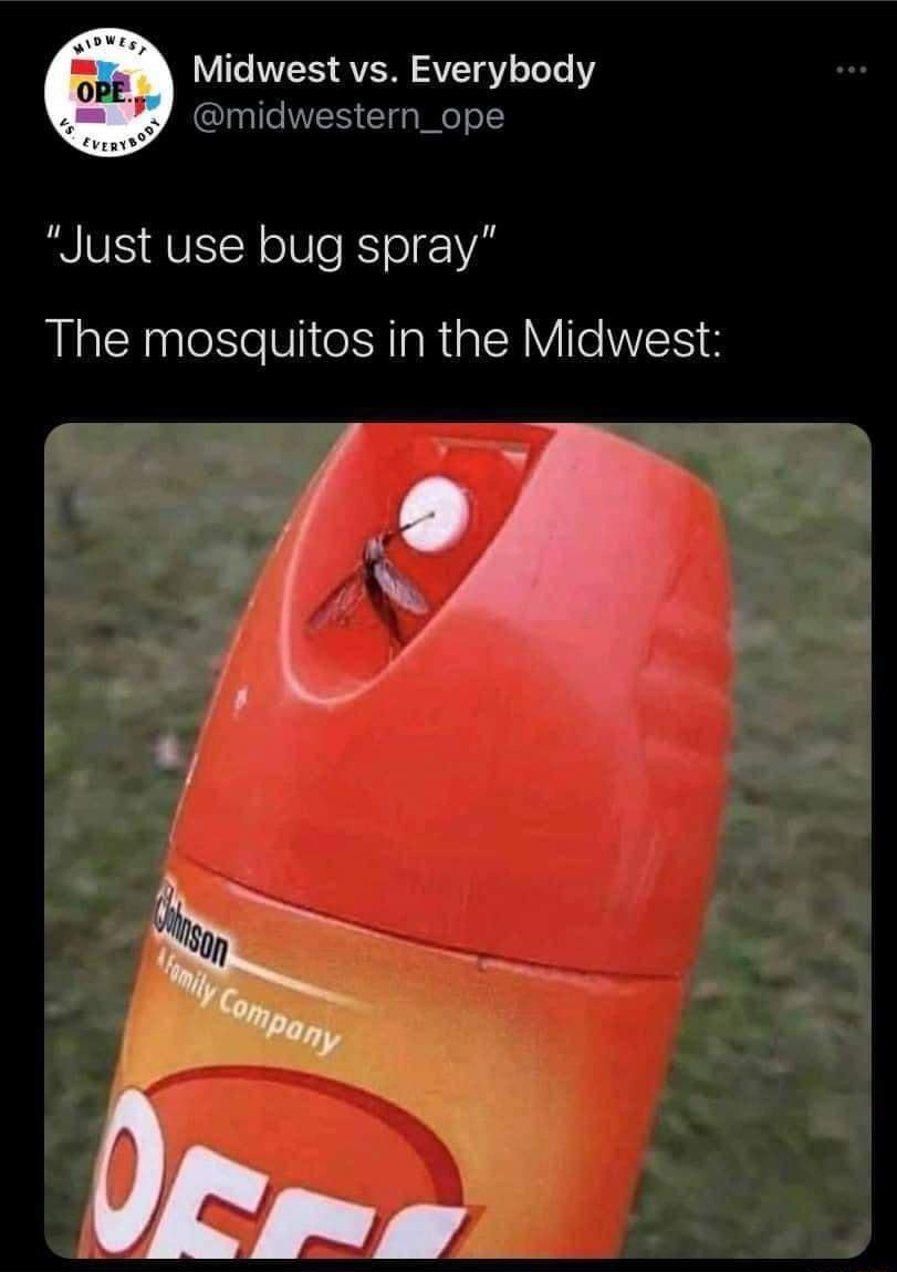 Midwest vs Everybody midwestern_ope Just use bug spray The mosquitos in the Midwest