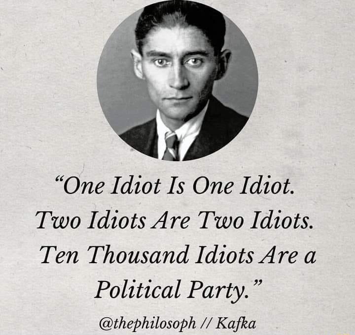 One Idiot Is One Idiot Two Idiots Are Two Idiots Ten Thousand Idiots Are a Political Party thephilosoph Kafka
