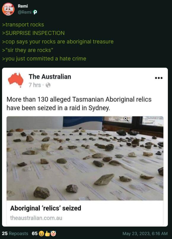 The Australian More than 130 alleged Tasmanian Aboriginal relics have been seized in a raid in Sydney Aboriginal relics seized