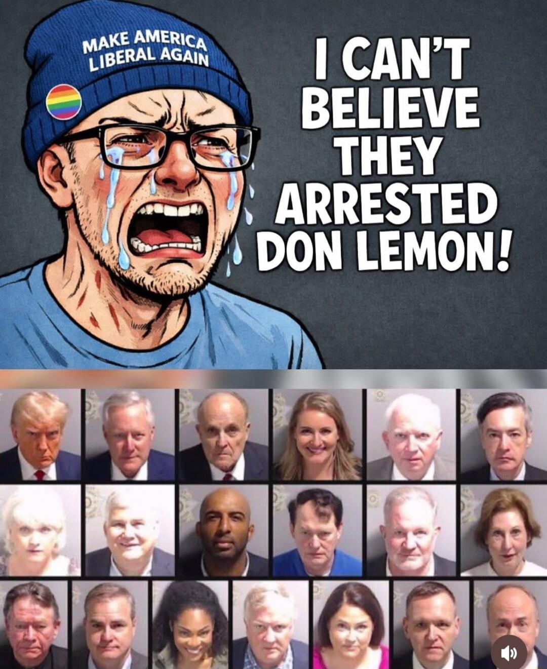 I CAN'T BELIEVE THEY ARRESTED DON LEMON!