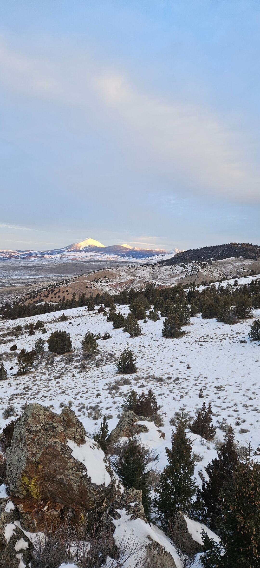 Session ID: 1072507.