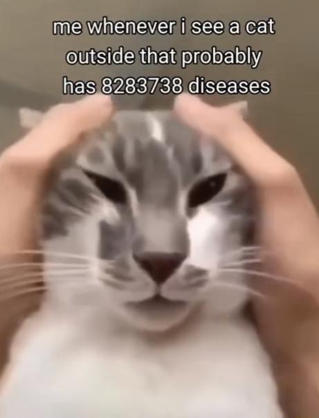 ANV NENEEISEEEICEL OIS AGEId Il E10 NES CLRTRLICIEE RS N o