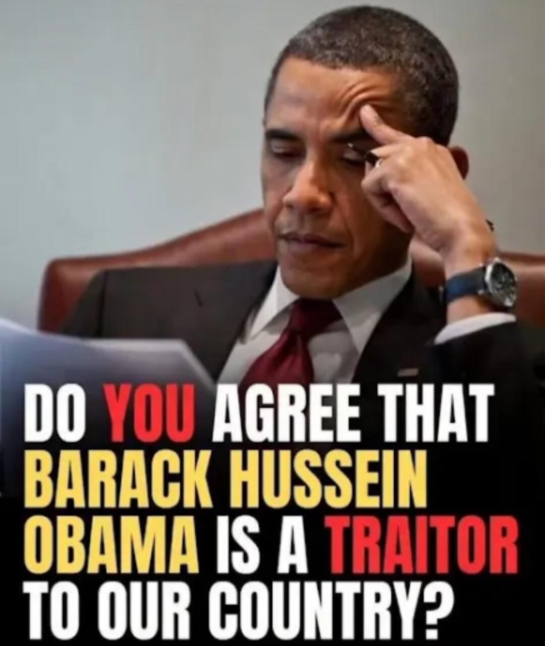 DO YOU AGREE THAT BARACK HUSSEIN OBAMA IS A TRAITOR TO OUR COUNTRY?