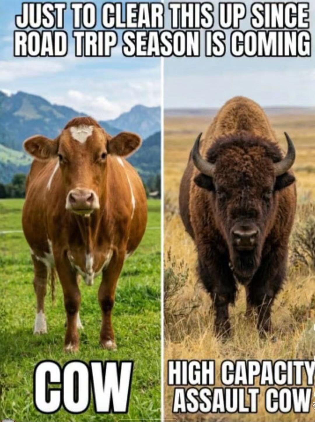 JUST TO CLEAR THIS UP SINCE ROAD TRIP SEASON IS COMING COW HIGH CAPACITY ASSAULT COW