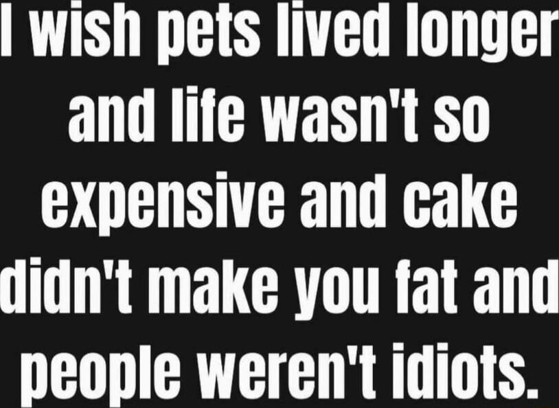 wish pets lived longer and life wasnt so expensive and cake didnt make you fat and people werent idiots