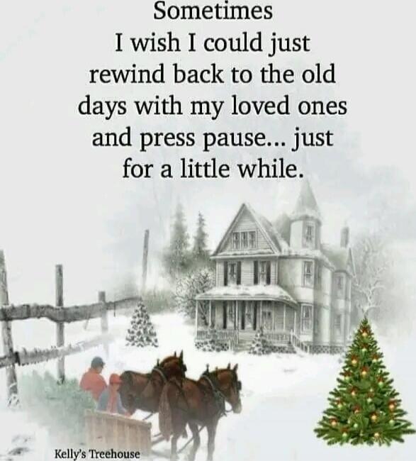Sometimes I wish I could just rewind back to the old days with my loved ones and press pause... just for a little while. Kelly's Treehouse