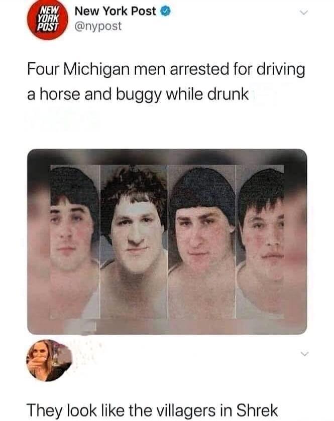 New York Post. Four Michigan men arrested for driving a horse and buggy while drunk. They look like the villagers in Shrek.