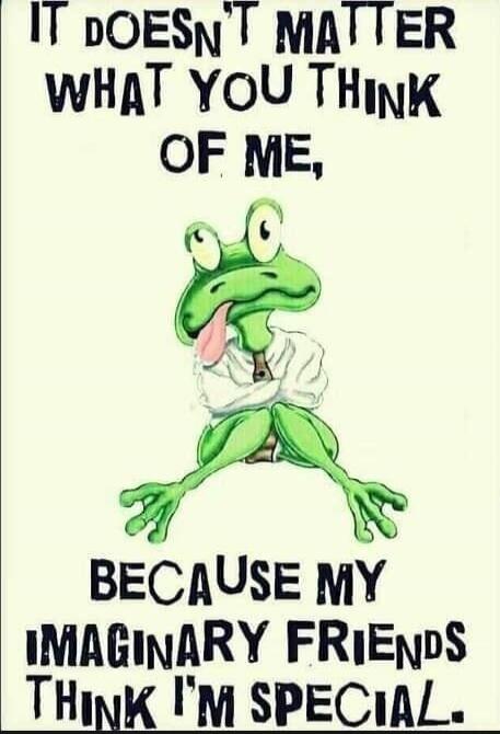 IT DOESN'T MATTER WHAT YOU THINK OF ME, BECAUSE MY IMAGINARY FRIENDS THINK I'M SPECIAL.