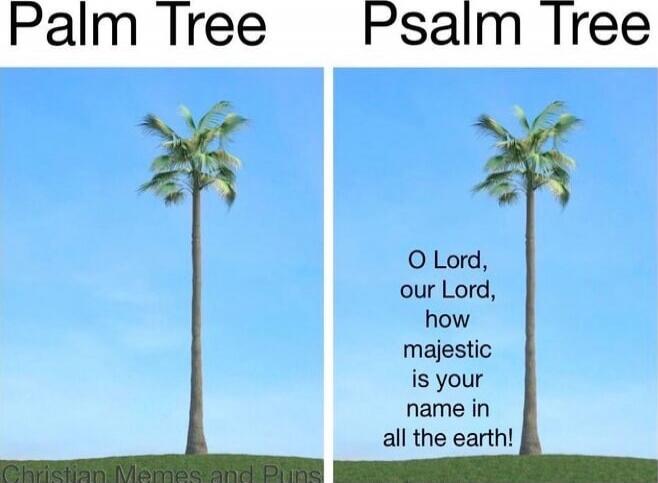Palm Tree vs Psalm Tree: O Lord, our Lord, how majestic is your name in all the earth!