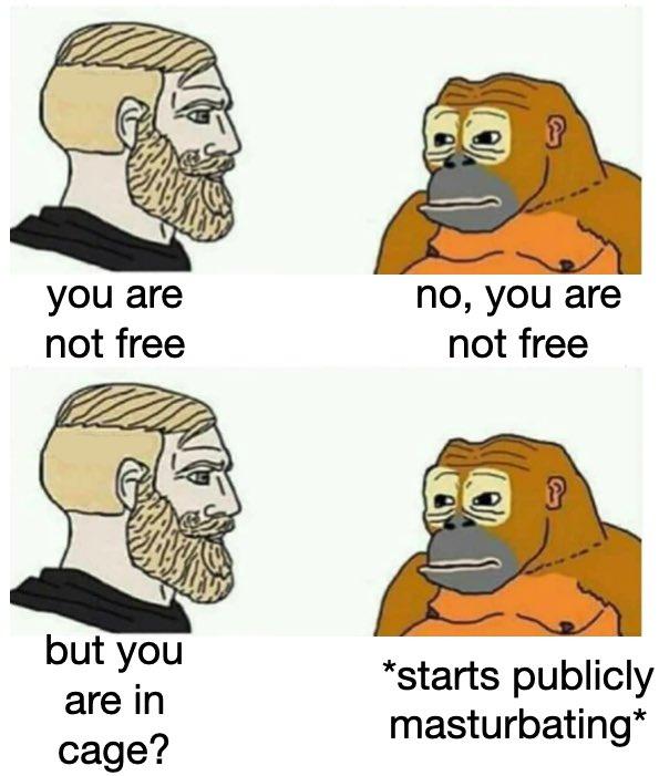you are no you are not free not free starts publicly masturbating