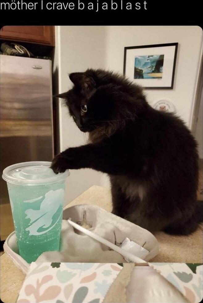 mothericravebajablast