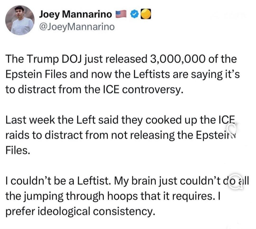The Trump DOJ just released 3,000,000 of the Epstein Files and now the Leftists are saying it’s to distract from the ICE controversy.

Last week the Left said they cooked up the ICE raids to distract from not releasing the Epstein Files.

I couldn’t be a Leftist. My brain just couldn’t do all the jumping through hoops that it requires. I prefer ide