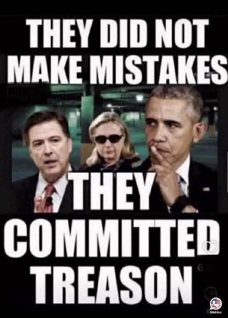 THEY DID NOT MAKE MISTAKES THEY COMMITTED TREASON