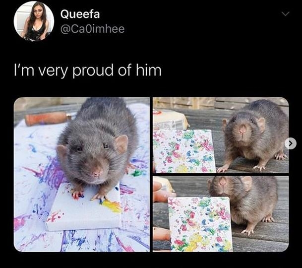 Queefa CaOimhee