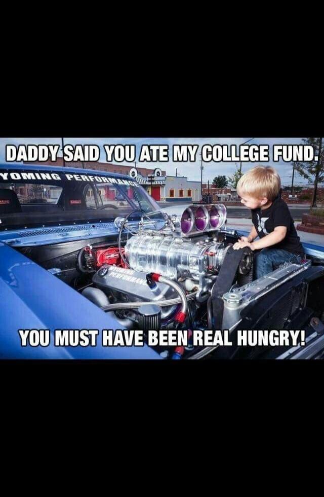 DADDY SAID YOU ATE MY COLLEGE FUND. YOU MUST HAVE BEEN REAL HUNGRY! WYOMING PERFORMANCE