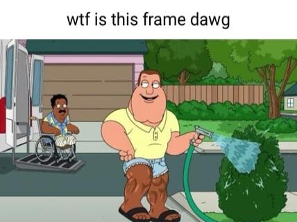 wtf is this frame dawg