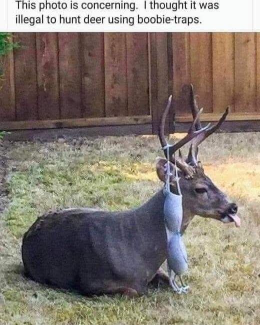 This photo is concerning. I thought it was illegal to hunt deer using boobie-traps.