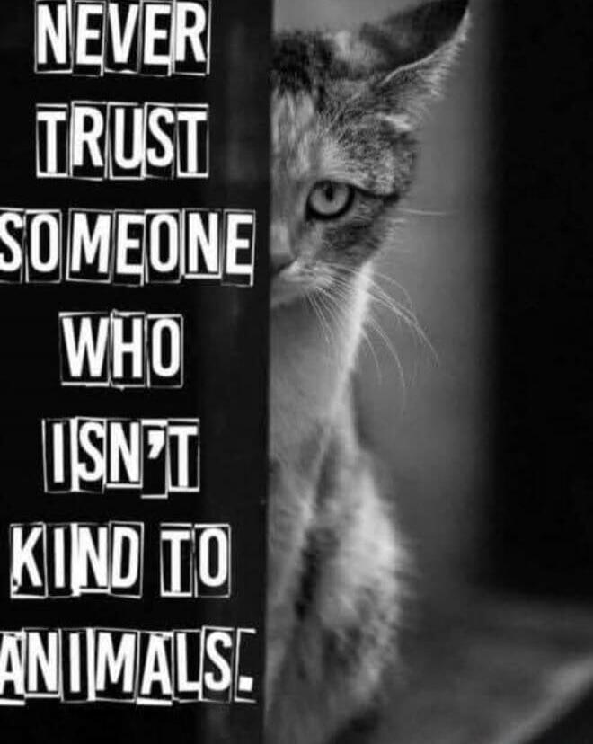 NEVER TRUST SOMEONE WHO ISN'T KIND TO ANIMALS.