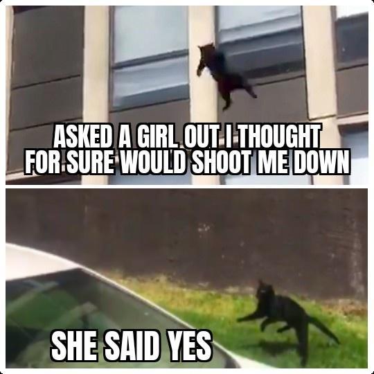 ASKED A GIRLOUTTHOUGHT FORSUREWOULD SHOOTMEDOWN SHESRIDYES