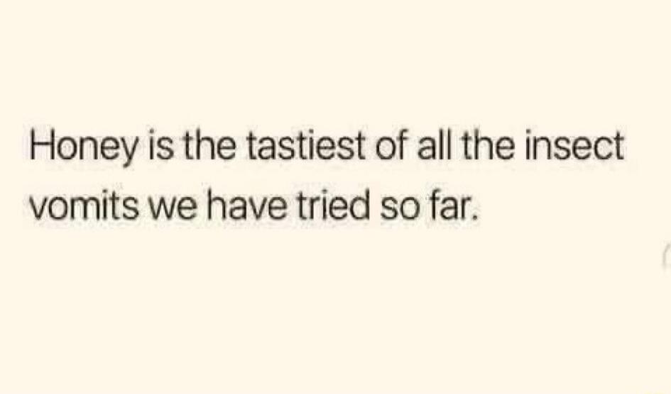 Honey is the tastiest of all the insect vomits we have tried so far