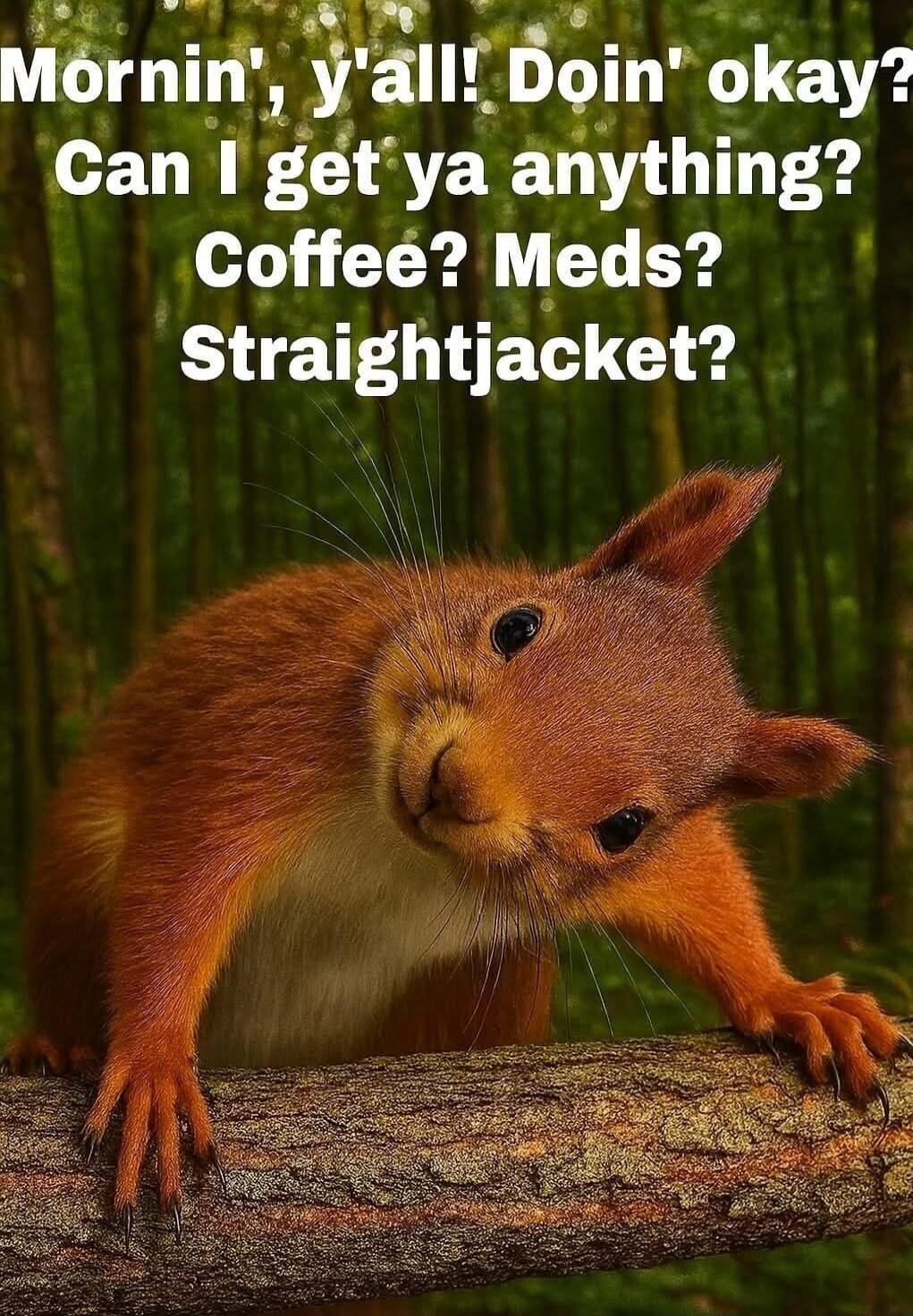 Mornin', y'all! Doin' okay? Can I get ya anything? Coffee? Meds? Straightjacket?