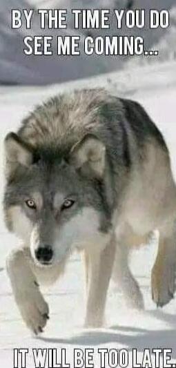 BY THE TIME YOU DO SEE ME COMING... IT WILL BE TOO LATE
