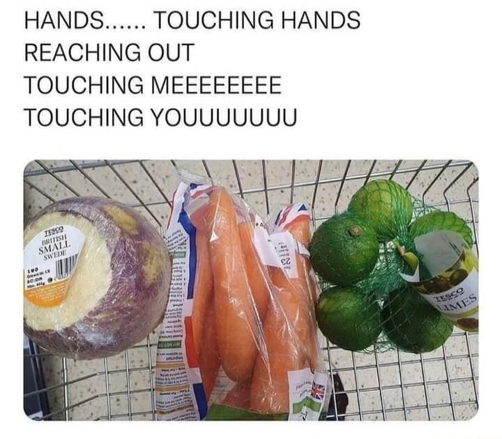 HANDS TOUCHING HANDS REACHING OUT TOUCHING MEEEEEEEE TOUCHING YOUUUUUUU