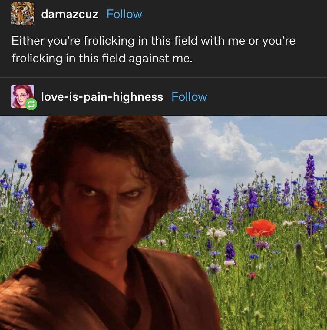 Hi damazcuz Follow Either youre frolicking in this field with me or youre frolicking in this field against me love is pain highness Follow
