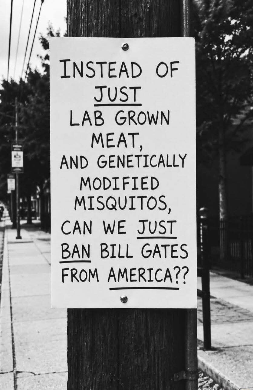 INSTEAD OF JUST LAB GROWN MEAT, AND GENETICALLY MODIFIED MISQUITOS, CAN WE JUST BAN BILL GATES FROM AMERICA??