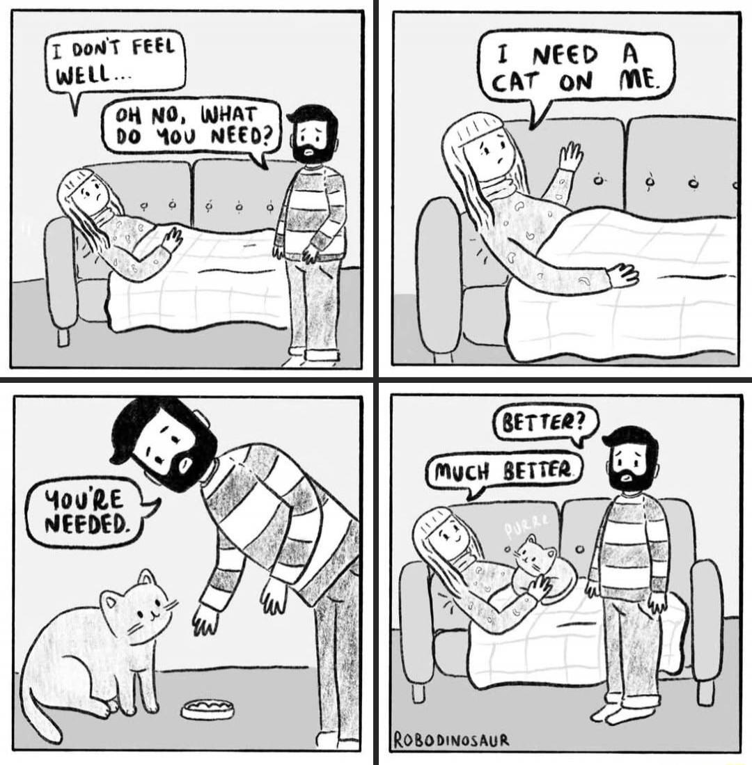 I DON'T FEEL WELL...
OH NO, WHAT DO YOU NEED?
I NEED A CAT ON ME.
YOU'RE NEEDED.
BETTER?
MUCH BETTER
ROBO DINOSAUR