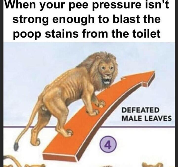 VVhen your pee pressure isnt strong enough to blast the poop stains from the toilet A DEFEATED MALE LEAVES