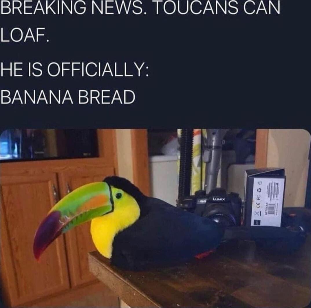 SINRNINCAN USRI LOIV 07 S RO LOAF HE IS OFFICIALLY BANANA BREAD