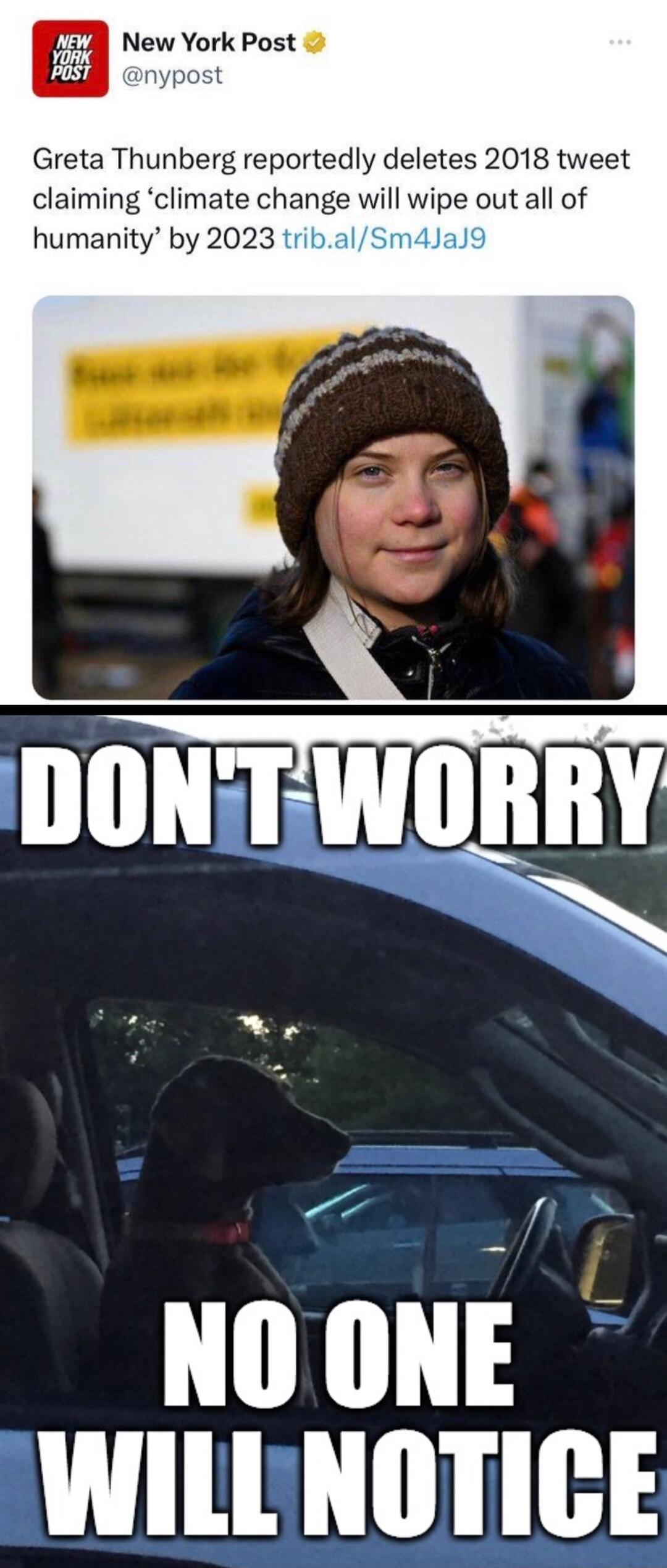 7 New York Post Ll nypost Greta Thunberg reportedly deletes 2018 tweet claiming climate change will wipe out all of humanity by 2023 trib n4 NO ONE WILLNOTICE